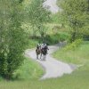 Rajd Mszana Górna 2015
